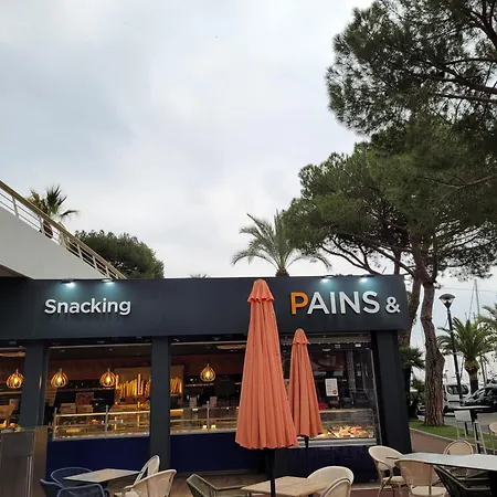 Apartment Marina Star Azuree Le Ciel Le Soleil Et La Entre Antibes Et 50m2 Rien Que Pour Vous Avec Vue Panoramique Sur Garage Prive Terrasse A 150 M Villeneuve-Loubet